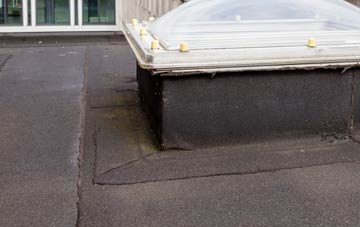 disadvantages of East Strathan flat roofs